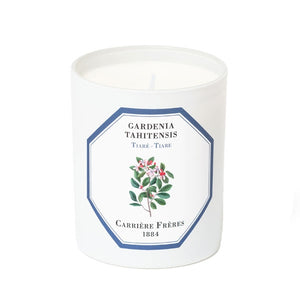 Carrière Frères - Tiare - Gardenia Tahitensis - Duftkerze im weißen Glas mit floralem Pflanzenmotiv auf elegantem Etikett