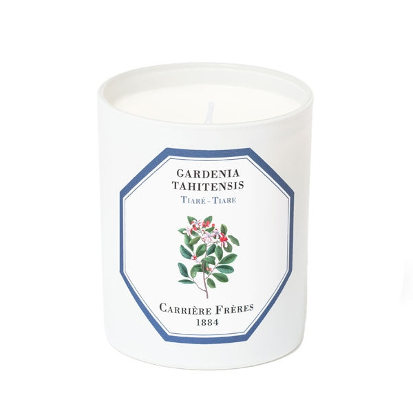 Carrière Frères - Tiare - Gardenia Tahitensis - Duftkerze im weißen Glas mit floralem Pflanzenmotiv auf elegantem Etikett