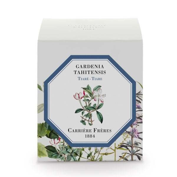 Carrière Frères - Tiare - Gardenia Tahitensis - Duftkerze mit floralem Design auf eleganter, weißer Verpackung