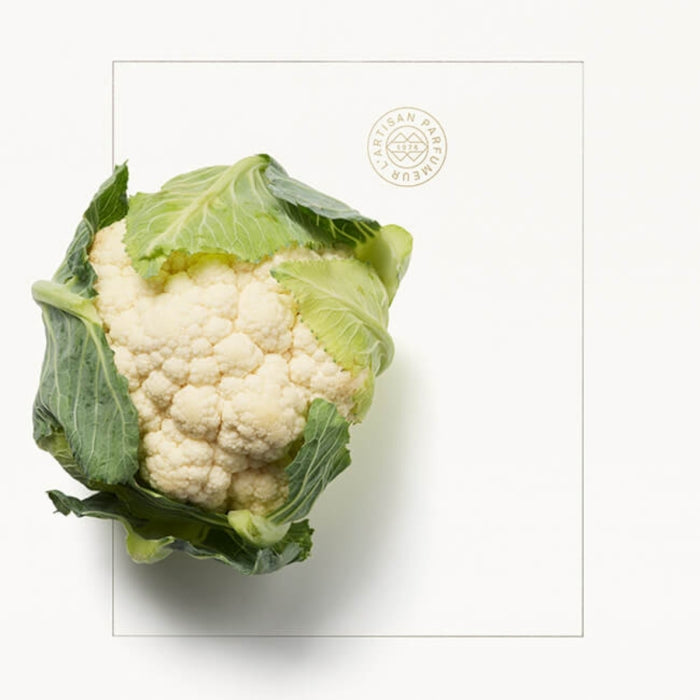 L'Artisan Parfumeur - Le Potager - Tonka Blanc mit natürlicher Frische und innovativer Duftkreation inspiriert von Desserts