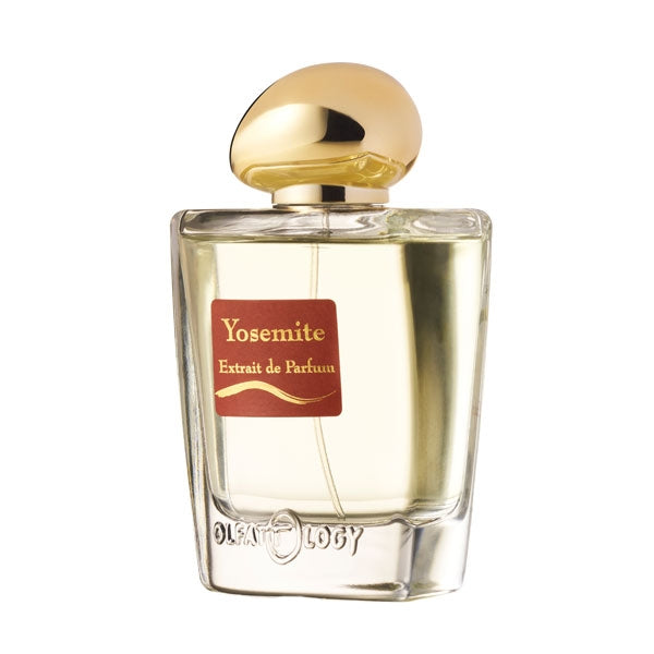 Olfattology - Yosemite Parfumflakon mit goldenem Verschluss und bernsteinfarbener Flüssigkeit vor weißem Hintergrund