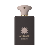 Amouage - Library Collection - Opus XIII - Silver Oud