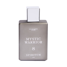 Spiritum - 8 - Mystic Warrior