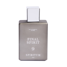 Spiritum - 9 - Final Spirit